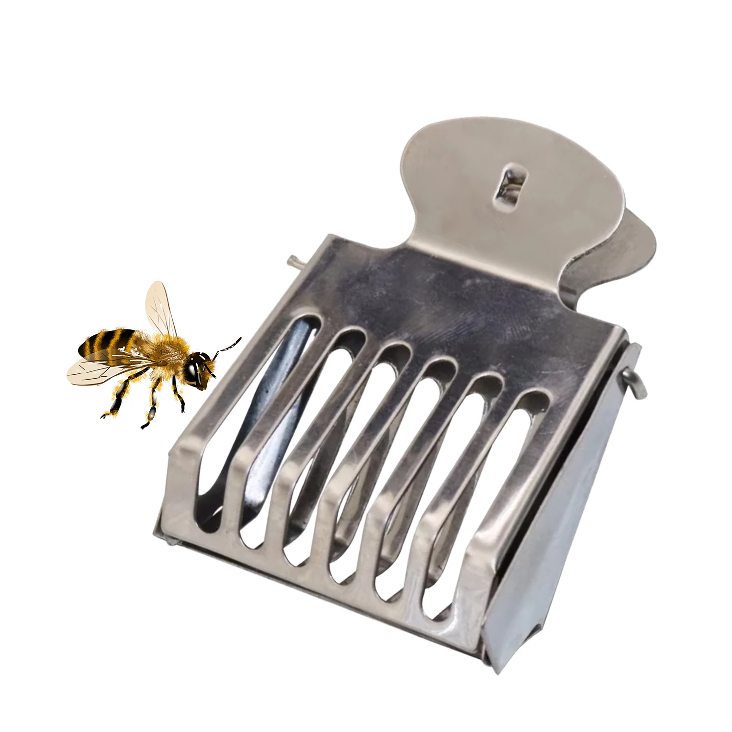 Queen Bee Catcher Clip Isolation Trap Box Stainless Steel Bee Prisoner Cages Beekeeping Equipment Bee Apiculture Beekeeper Tool