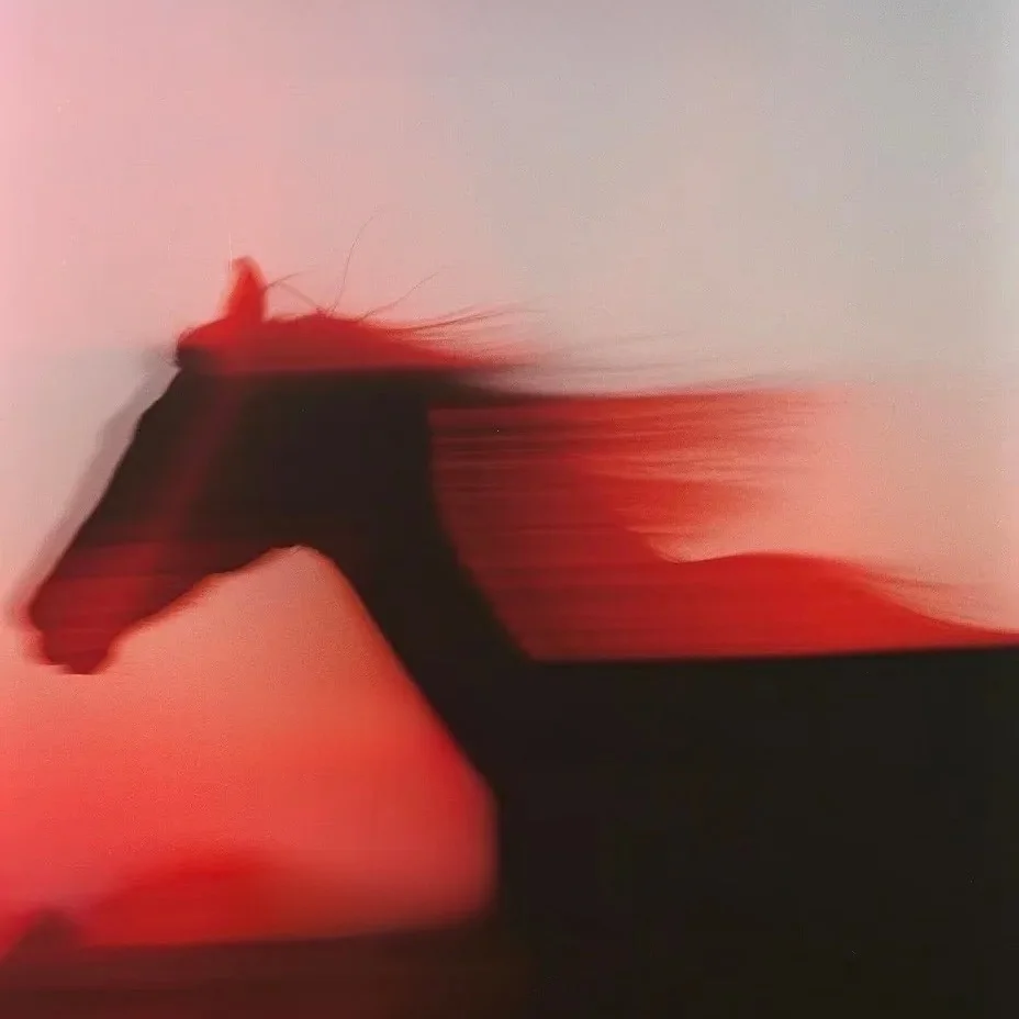 

Cleanfit Straight Leg Pants Youth Casual Trousers with Zipper And Belt Pocket Details PVC Material Wide Leg Style