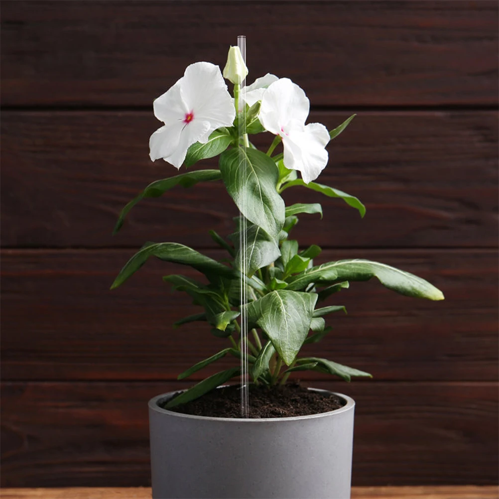 

20 Set Clear Acrylic Plant Support Sticks High Transparency Garden Stake Stem Supporters Indoor Plants Tall Tomato chid Clips
