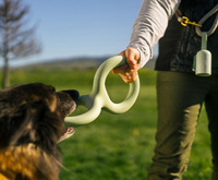 Dog  tug toys TPR Interactive riot control training ring for dogs, outdoor game products, interactive traction ring, pet toys