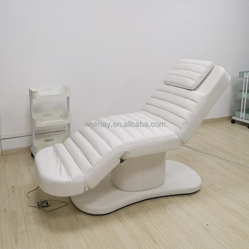 Top Sales Facial Bed Beauty Salon Spa Lash Beauty Furniture Table Salon Beds Electric Lifting Mechanism Chair Bed