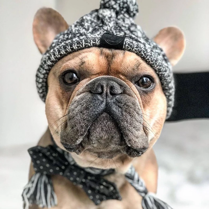 Winter Warm Dog Hats Windproof Knitting French Bulldog Hat For Dogs Chihuahua Hat Fluffy Ball Pet Hat Puppy Accessories