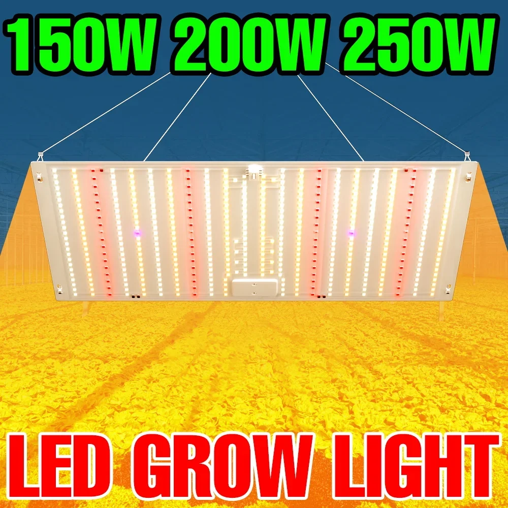 

250W LED Full Spectrum Grow Light Quantum Board Plant UV Lamp Indoor Greenhouse Tent Succulent Cactus Cultivation Fill Lighting