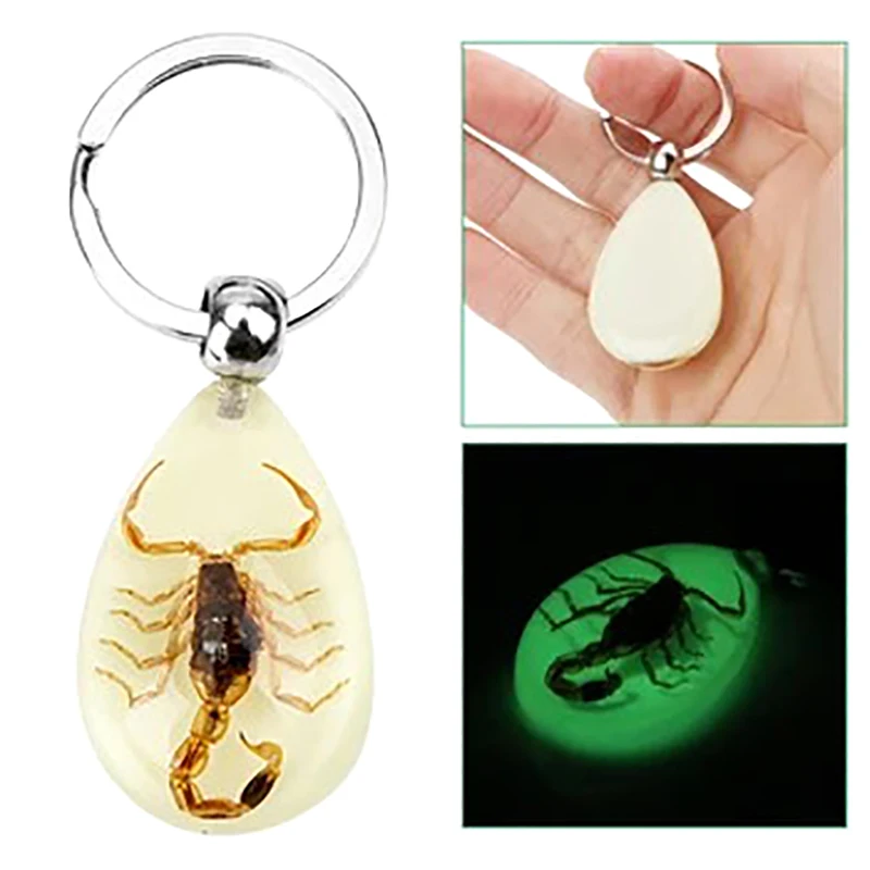 Random Style 1PC Amber Key Chain Insect Specimen Chain Pendant Scorpion Scarab Seven Star Ladybug Wasp Butterfly Car Key Ring