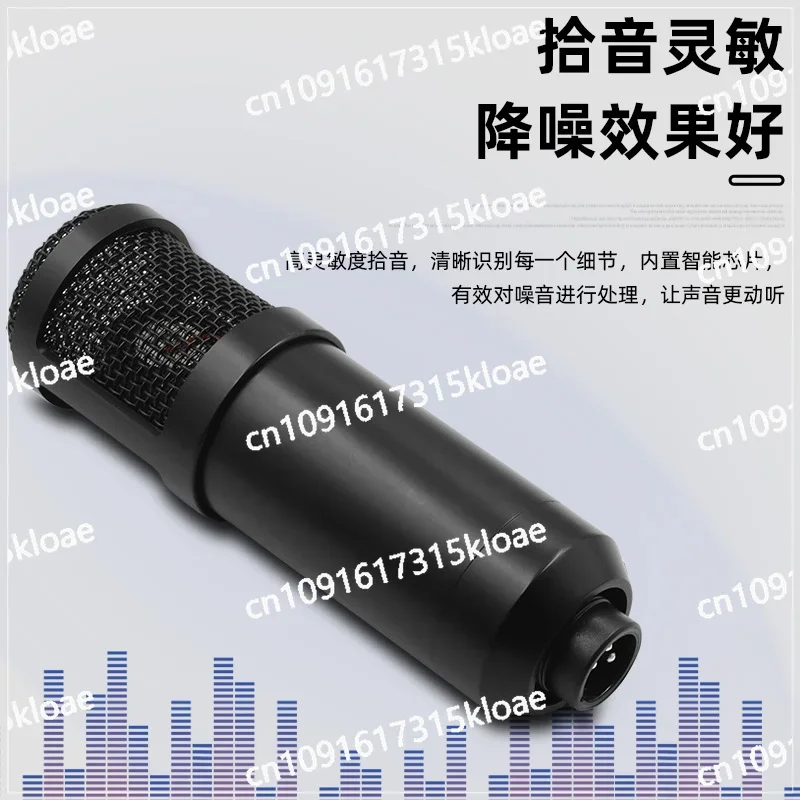 Microphone Microphone Mobile Phone English Sound Card Live Set