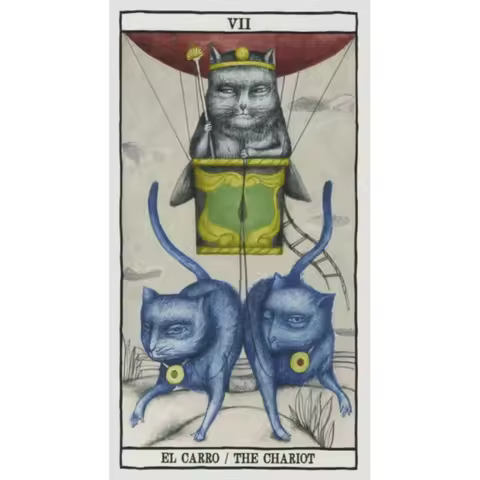 10.3*6cm Tarot Cats Ana Juan Deck Card Games 78 Pcs Cards