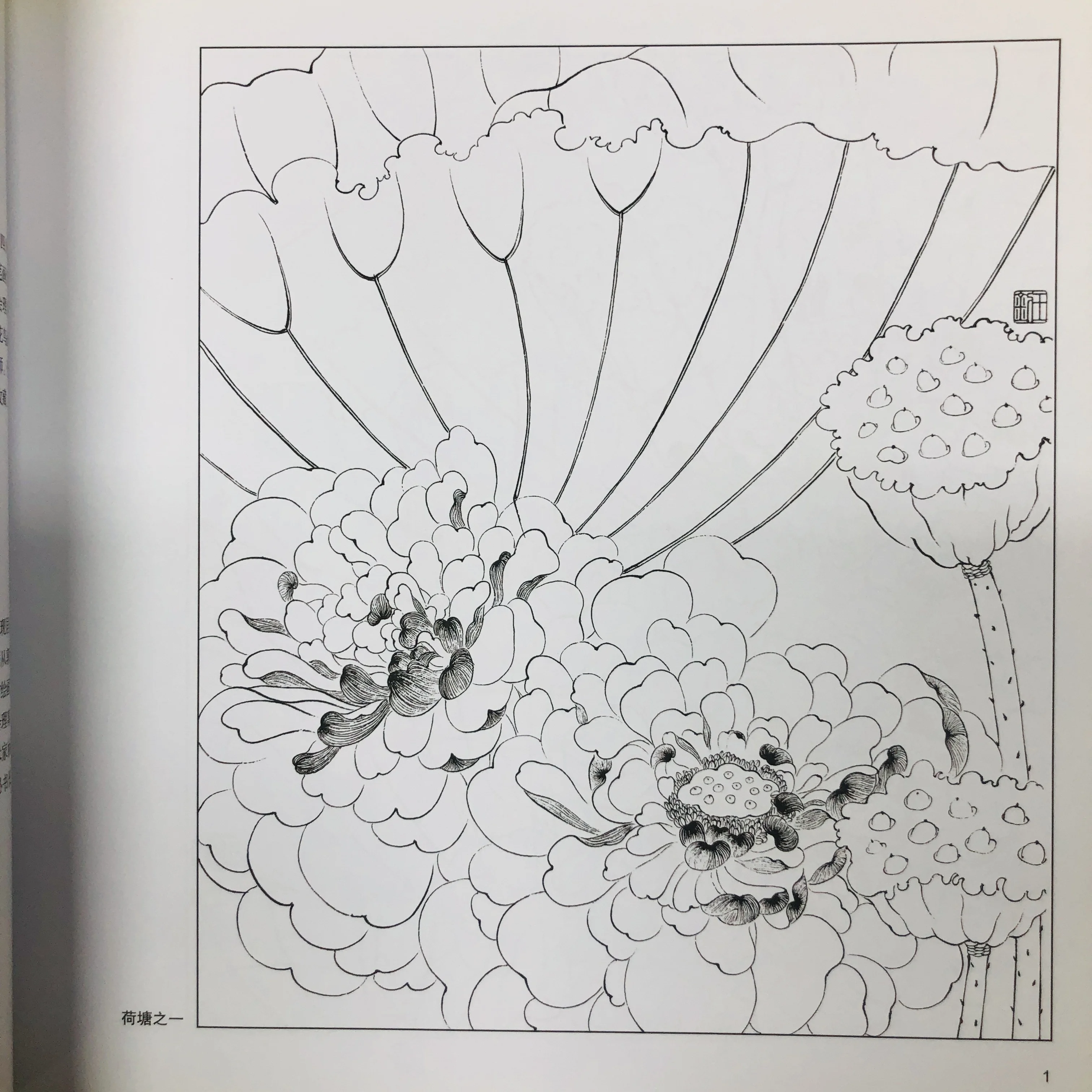 Coloring Book for Adults and Teens Featuring  with Easy and Simple Designs for Relaxation Chinese painting sketch