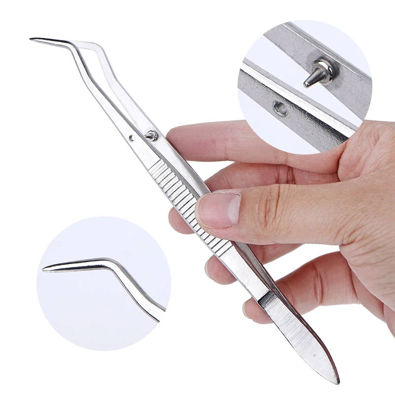 1 قطعة ملقط الأنسجة الجراحية من الفولاذ المقاوم للصدأ ملقط منحني مسنن أدوات مختبر الأسنان أدوات فحص الأسنان #3