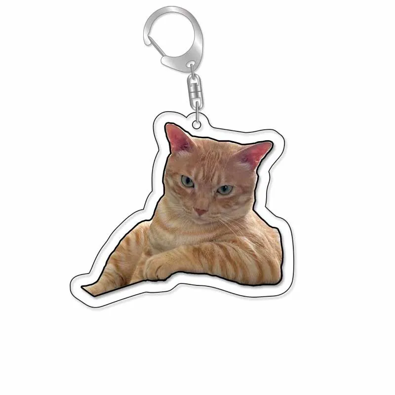 Porte-clés pour animaux de compagnie, pendentif d'expression, grenouille, chien, créativité, chaton, photos, souvenirs, paquet en acrylique, accessoires de décoration, sac, cadeau d'anniversaire