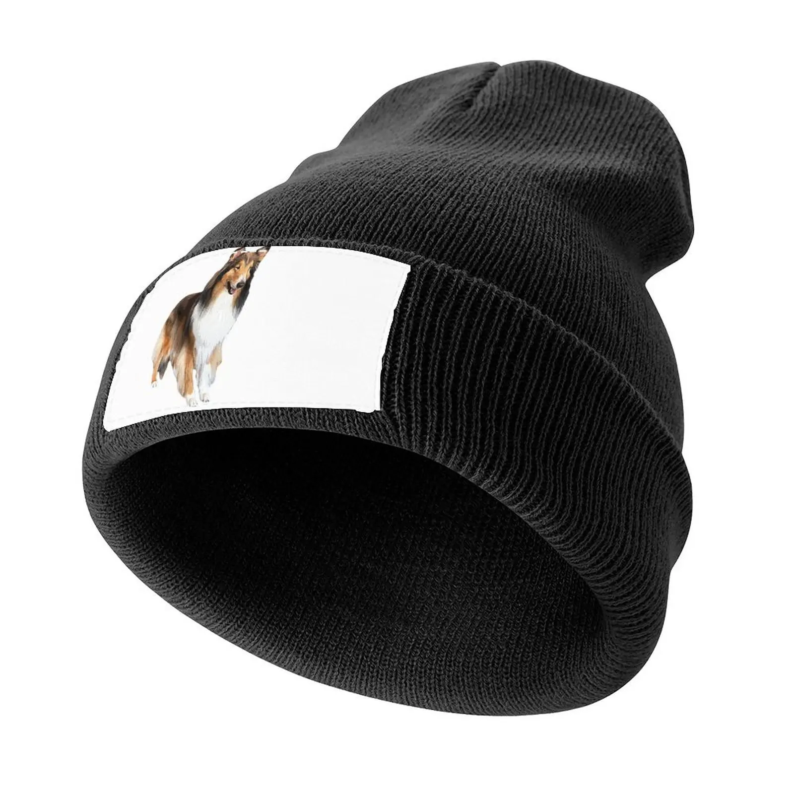 

Rough Collie Stunning Look! Knitted Cap tea Hat Icon Hat Luxury Brand Boy Child Women's