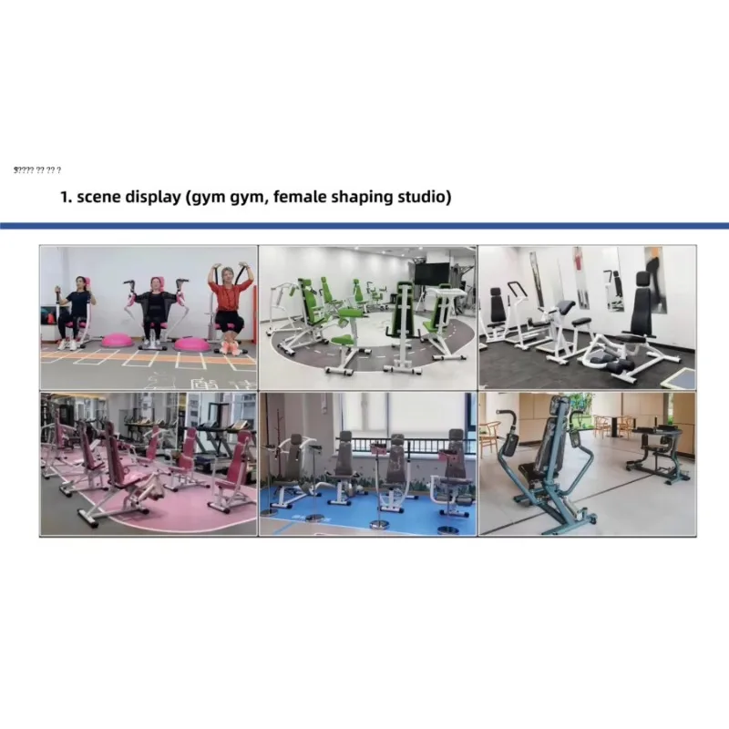 جهاز تدريب عضلات الظهر متعدد الوظائف معدات إعادة التأهيل الداخلي لمنتصف العمر وكبار السن 2025 #3