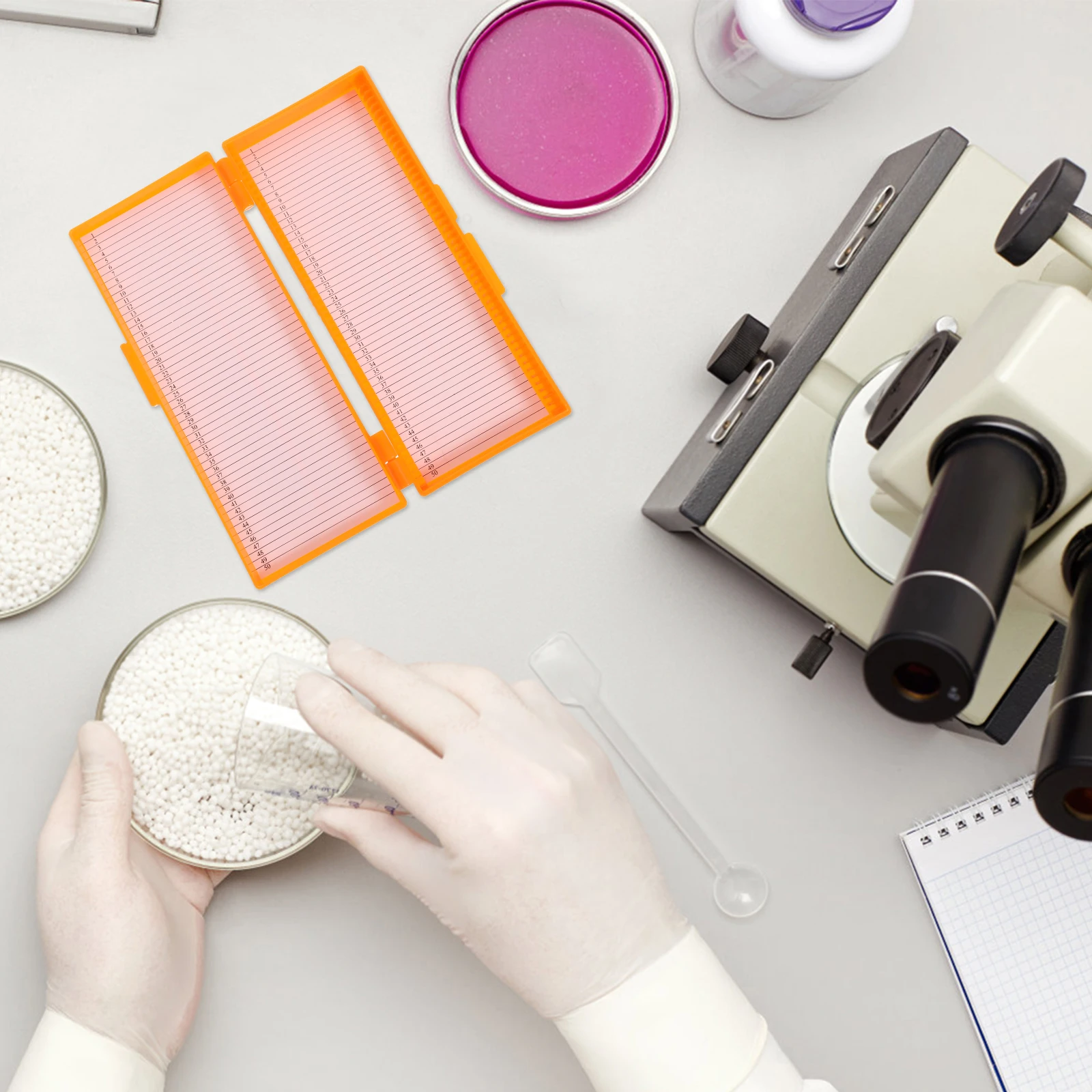 Laboratory Exquisite Craftsmanship Slide Storage Tray for Microscope Glass Slides Home School Company Applications