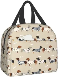 Dachshunds Insulated Tote Lunch Bag for Women & Men, Reusable Portable Thermal Cooler Box for Work Picnic Travel