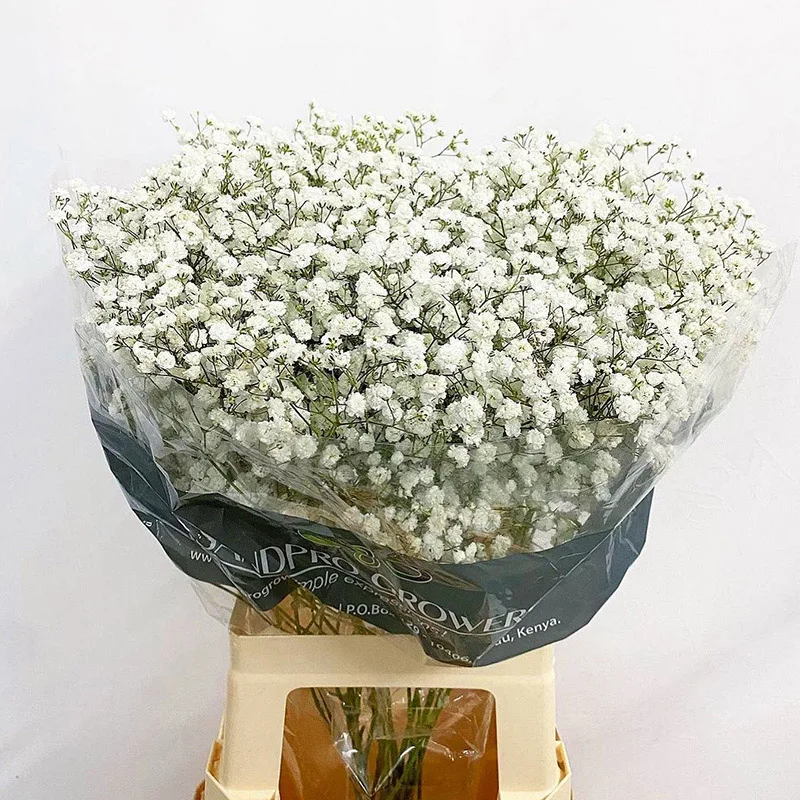 Dried Flowers Gypsophila Wedding Decoracion Baby's Breath Fleurs Sechees Fake Flores Artificial Flowers Christmas Home Decor