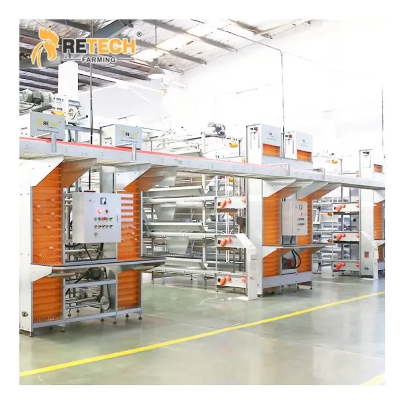 H Type Large Automatic Poultry Farm Equipment Layer Chicken Cage for Commercial Egg Production