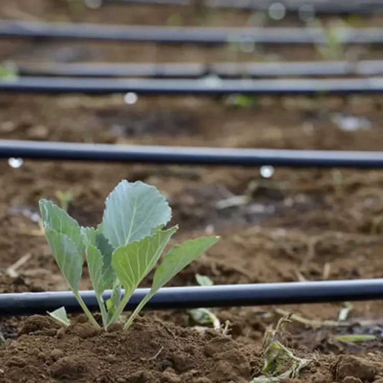 Agricultural Drip Irrigation System Kit 1 Hectare Farm Irrigation Systems Irrigation Complete System