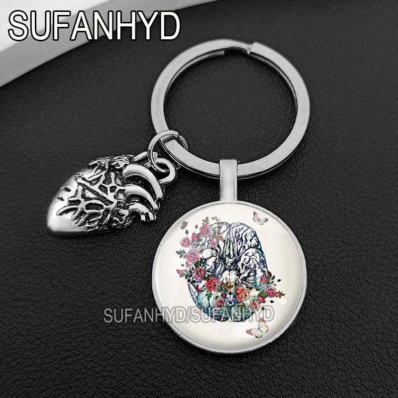 Anatomy Human Organs Keychains for House Heart Key Chains for Keys Biology Keyrings Medical Gifts for Ddoctors