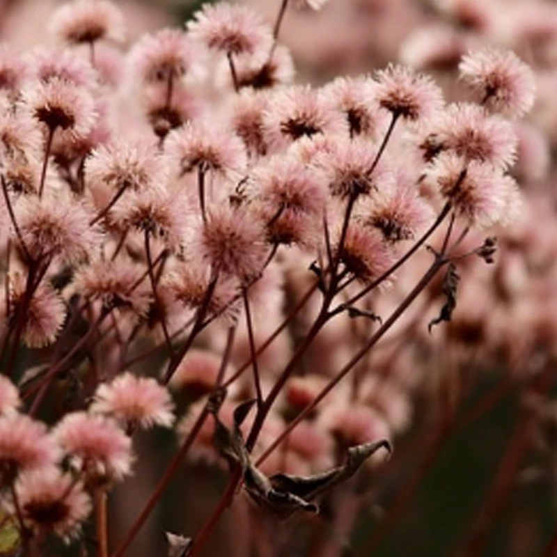 

Сервопривод JX C70/B70 72 кг, высоковольтный, безредукторный, с цифровым управлением, стальные шестерни, корпус из алюминия с ЧПУ, двойные подшипники, высокая точность для радиоуправляемых машин и дронов