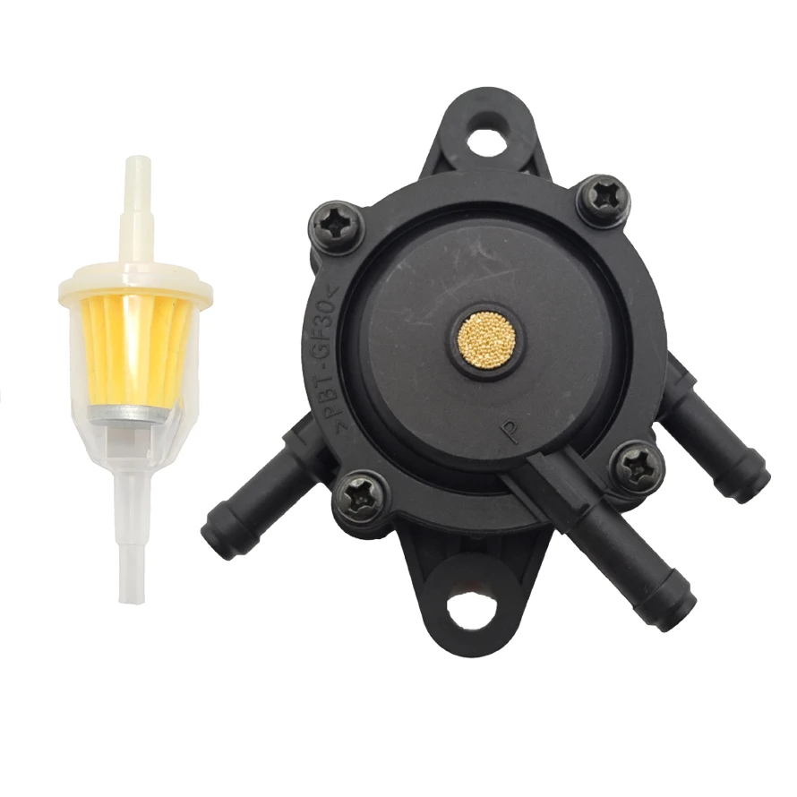 Che cos'è un pompa di carburante Briggs & Stratton e perché acquistarla su AliExpress