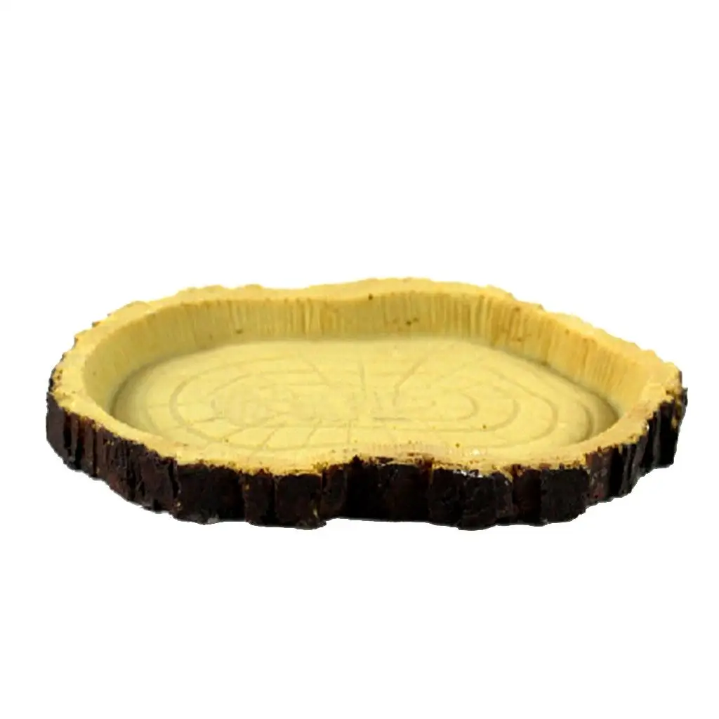 Pet Store Supply Tortoise Eating Resin Dish Feeding Bowl Vivarium Use