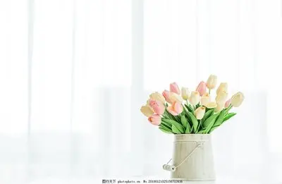 

25.2V 6.0Ah 7S2P 18650 Li-ion Rechargeable Battery Pack For 29.4V Electric Scooter with BMS+Charger