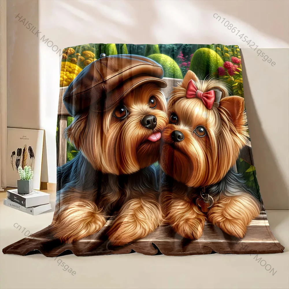 Dois yorkshire terriers in lov - Outdoor Kids Yorkshire avaliação e preço