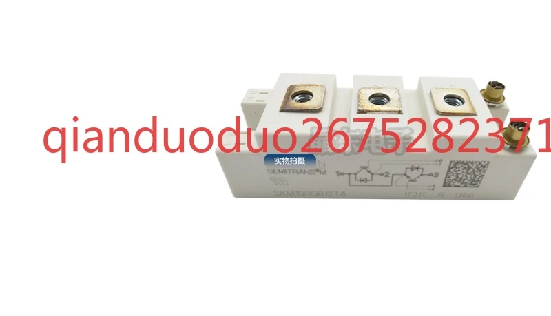 

SKM100GB12T4 SKM100GB123 SKM100GB124DSKM100GB128DSKM100GB12V