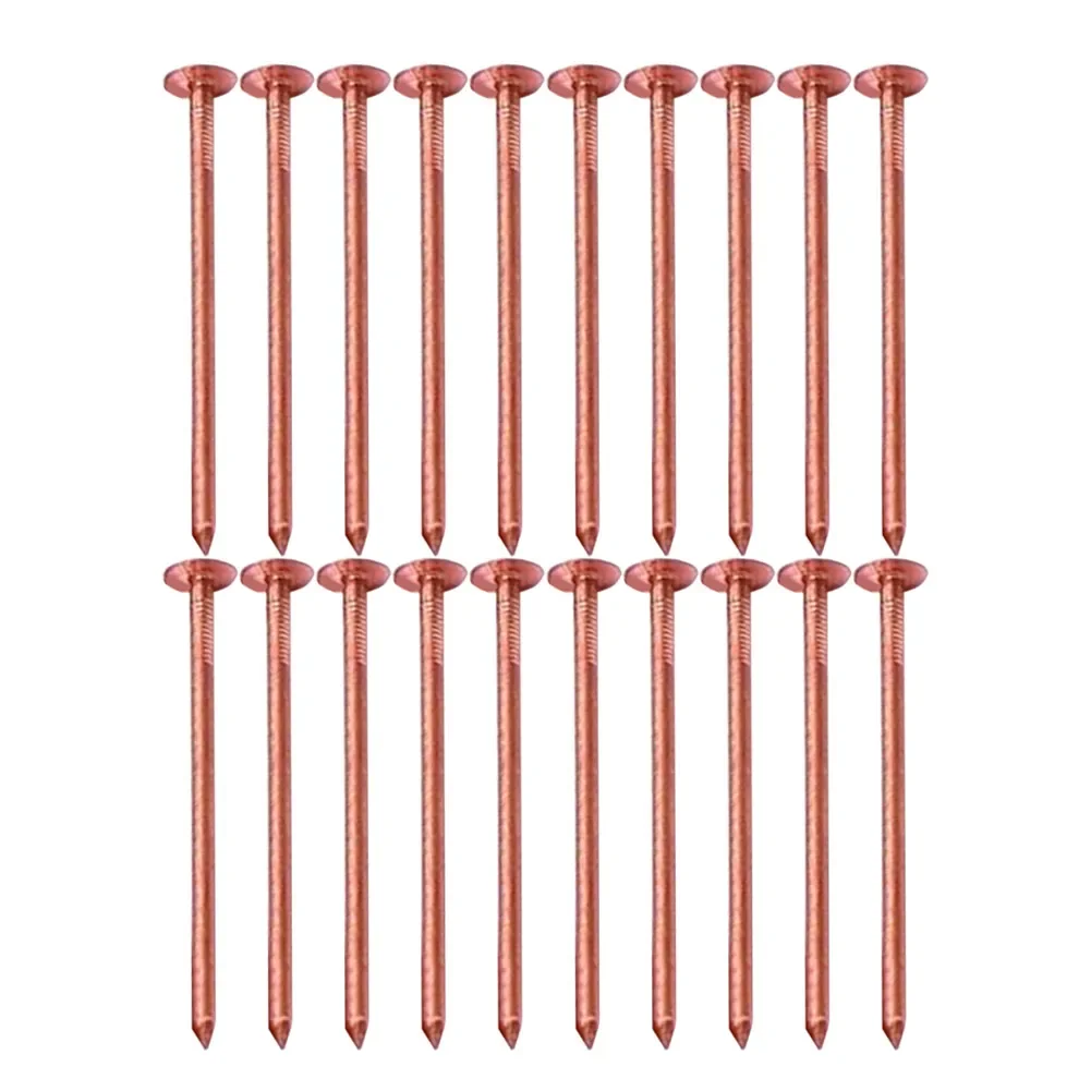 Effective Root Elimination Copper Tree Stump Killer Fast Acting Solution Large Sizes Available Non-Disturbing Method accessories