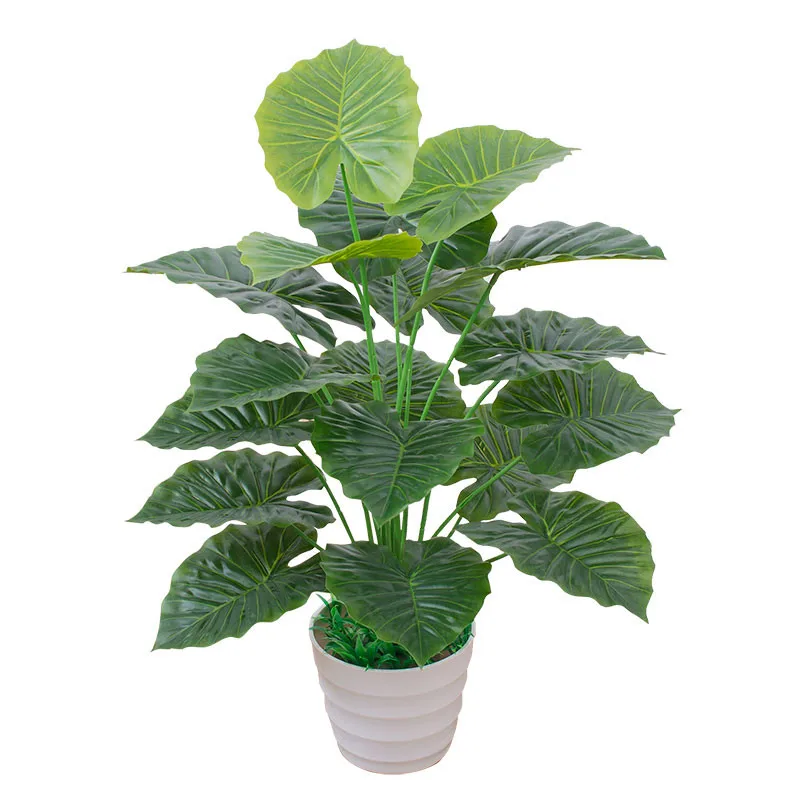 Green Aloes Potless…