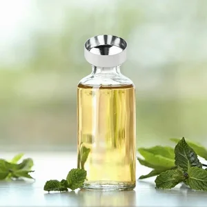 قمع صغير من الفولاذ المقاوم للصدأ مع فلتر قابل للفصل ، قمع واسع الفم ، أدوات المطبخ ، زيت ، سائل ، تعليب ، 5 قطع أفضل 10 قمع مبيعات للآيس كريم - No3