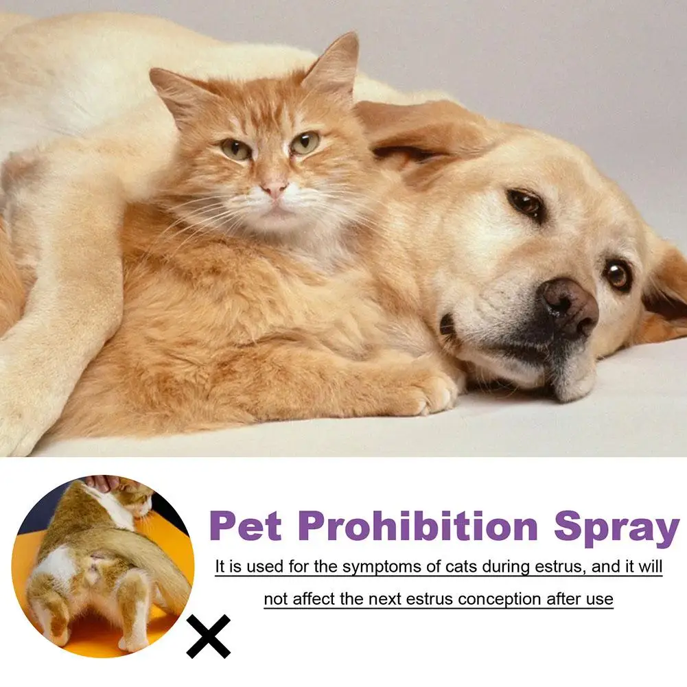 50ml Pet Calming Spray Prevent Howling Reduce Anxiety Soothe Mood Pet Dog Cat Estrus Calming Prohibition Spray Pet Supplies