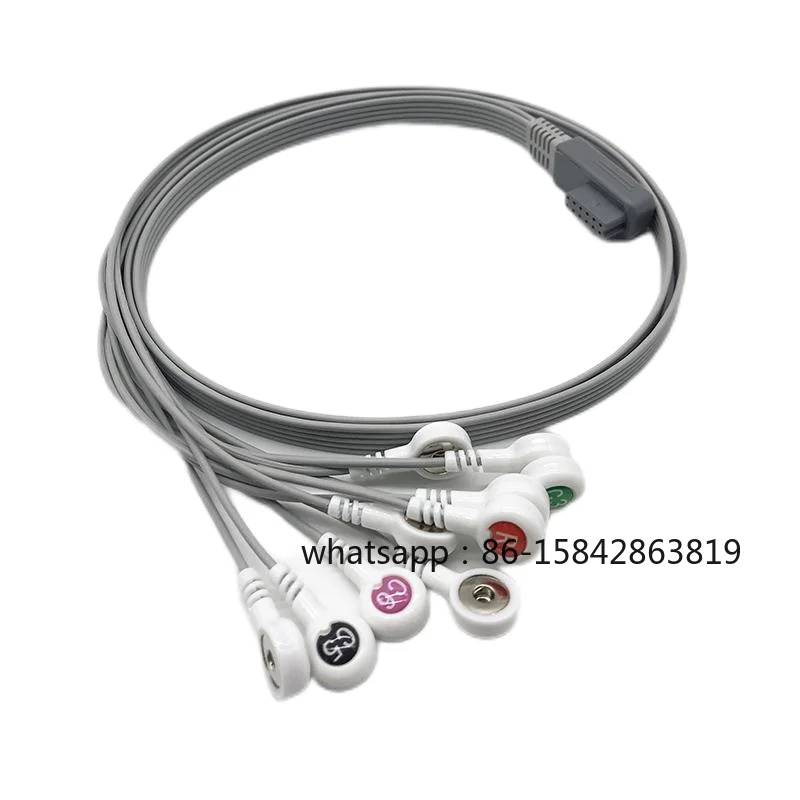 

KF-2412 New 24H Recording 12-Lead Dynamic ECG Lead