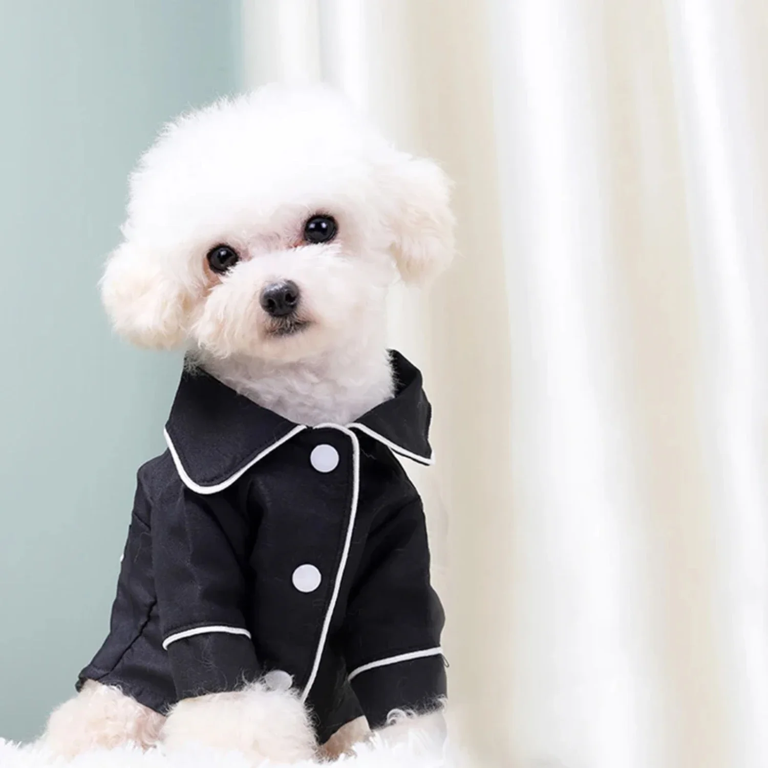 Stay cozy and adorable with these fashion-forward dog clothes for your Chihuahua or Pomeranian on chilly nights. Perfect for tre