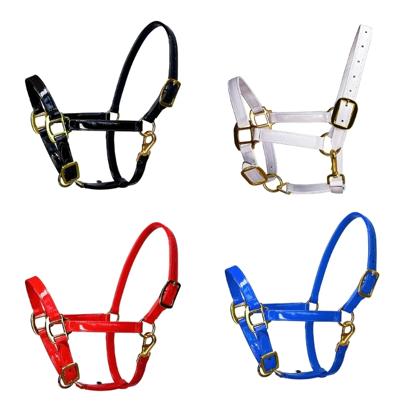馬術馬用ヘッドストール手綱ヘッドギア、エレガントレザーのゴールデンバックル付き、防臭＆クイッククリーニング機能