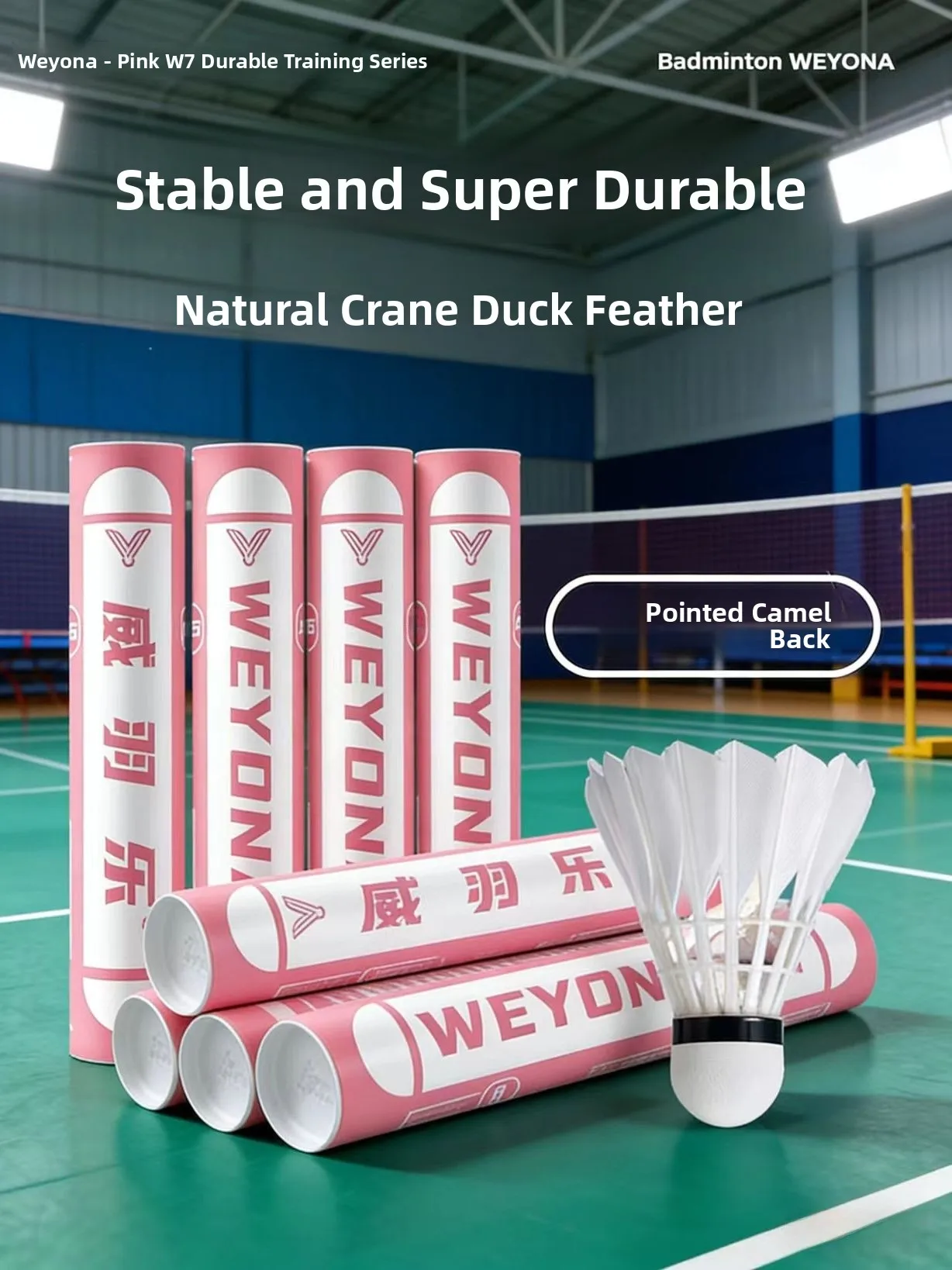 professional-grade-badminton-shuttlecocks-12-pcs-set-durable-flight-stability-training-badminton-for-students-gymnasium-use