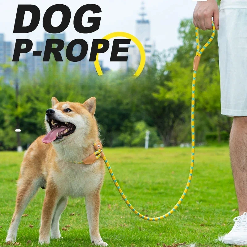 

Pet Leash Lightweight Nylon Rope Dog Leash Small Dog Cat Outdoor Fashion Designed Pet Product New Style