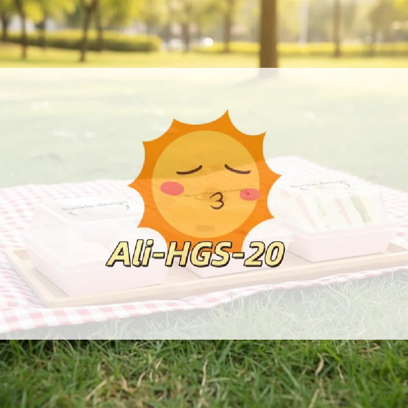 

Cake Roll and Pastry Rectangular Sandwich Box 50 Pieces Cardboard Food Box for School Office Lunch Events
