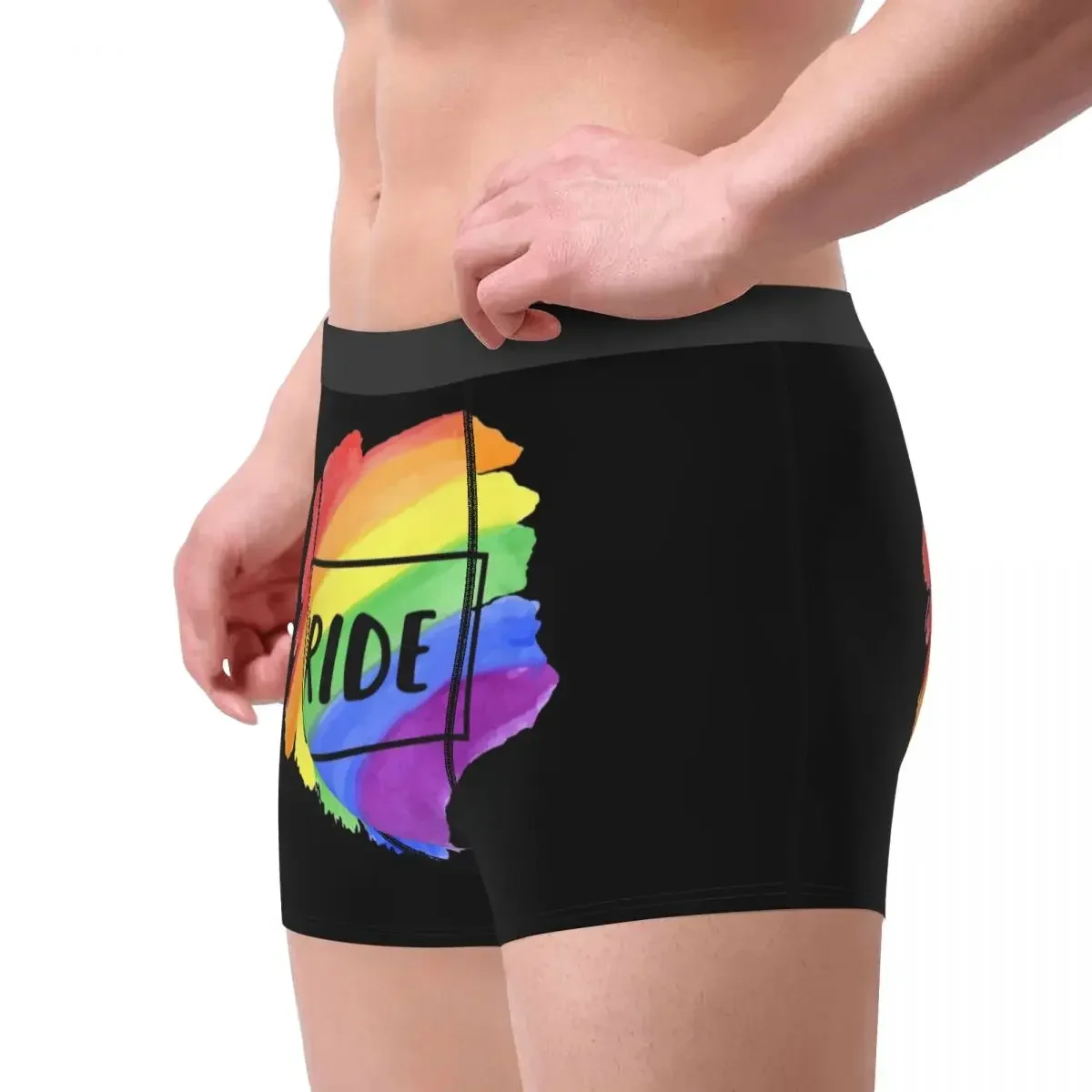 Men LGBT Underwear Gay Pride Rainbow Bisexual Lesbian Queer Asexual Funny Boxer Briefs Shorts Panties Homme Polyester Underpants