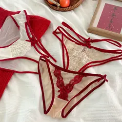 Red Color Mesh Transparent Women's Underwear Low Waist Lace Embroidery Hollow Out Panties Thin Soft Hollow Out Breathable Briefs