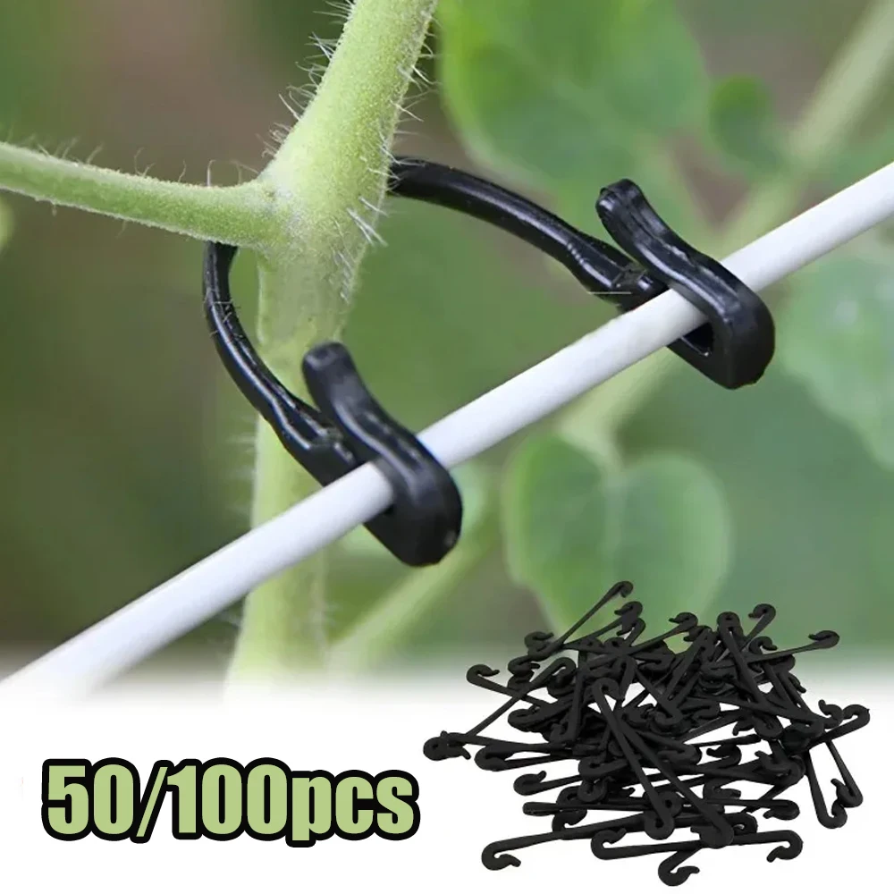 100/50Pcs Garten Pflanzen Feste Clips Schnallen Tomaten Gemüse Pfropfen Clips Trauben Unterstützung Reben Clips Kunststoff Feste Schnalle haken