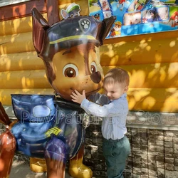 Paw Patrol Achtervolging Aluminium Ballon Cartoon Skye Marshall Puin Rotsachtige Ballonnen Kinderen Verjaardagsfeestje Evenement Decoratie