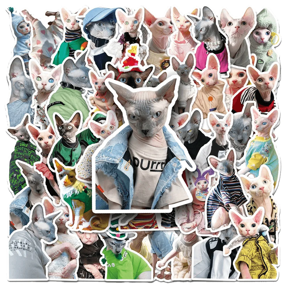 50pcs Sphynx Hairless Cat Stickers For Kids Stationery Phone Suitcase Ipad Guitar Craft Supplies Sticker Scrapbooking Material