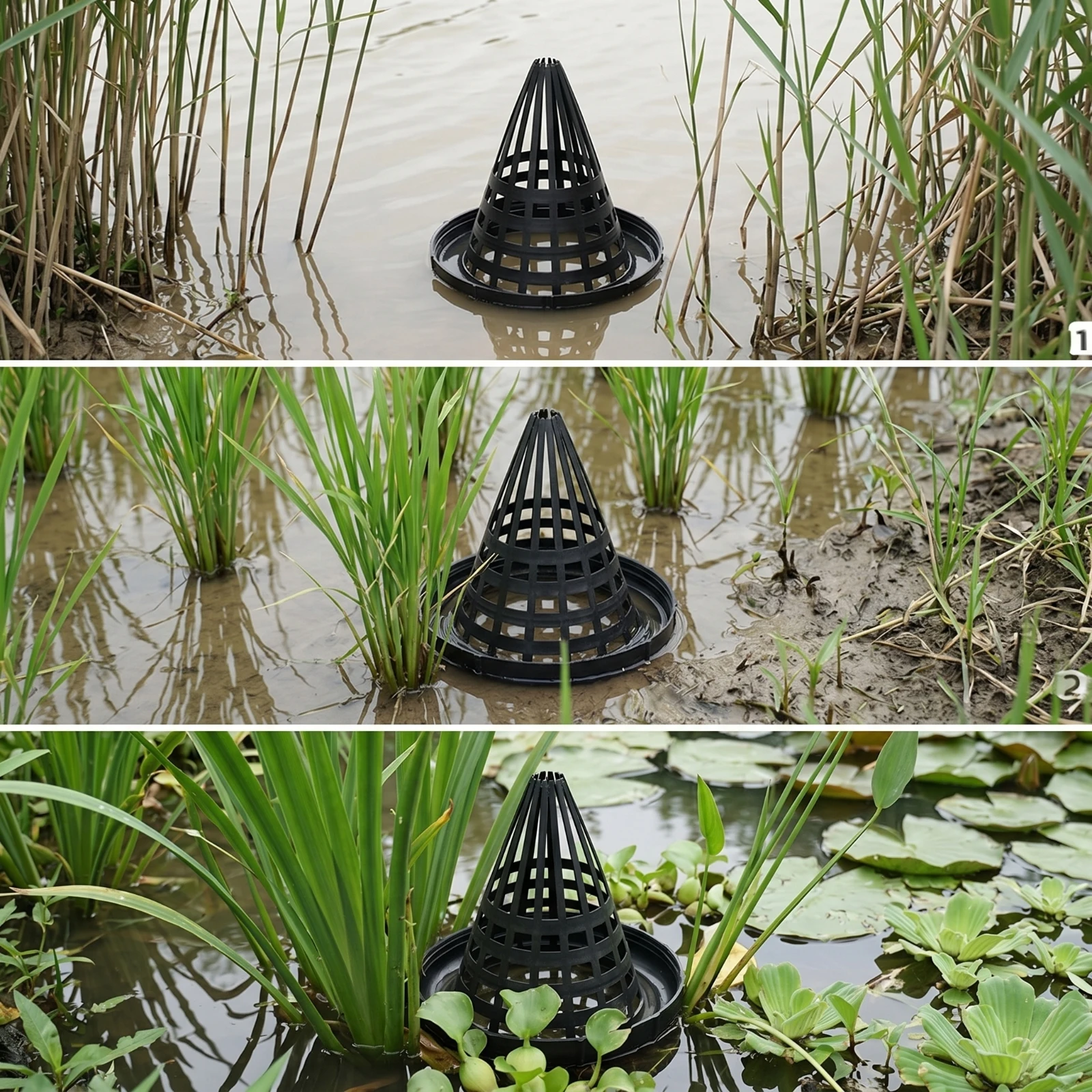 Conical Aquatic Cage Easy to Clean Plastic Aquatic Cage Funnel-Top Lattice for Ponds, Streams