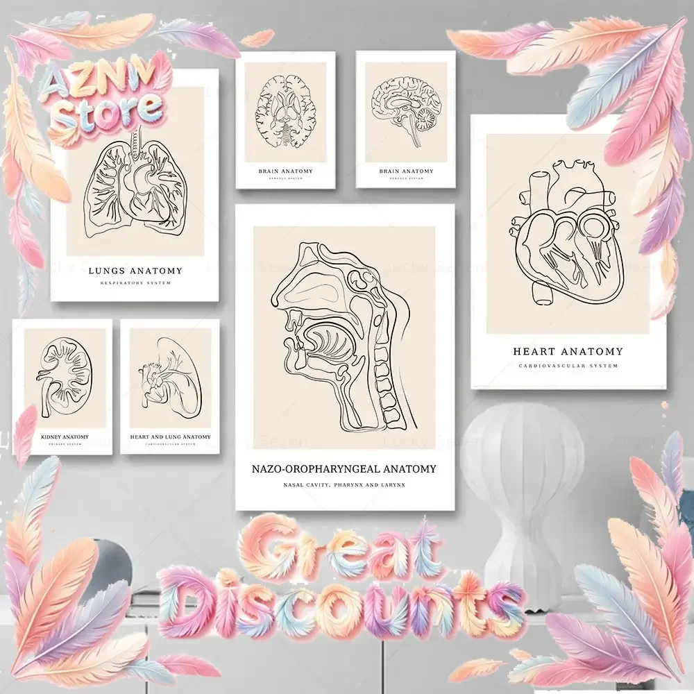 (2D canvas painting)  Human Heart Brain Uterus Anatomy Posters Line Art Print Clinic Wall Art Canvas Painting Medicine Pictur
