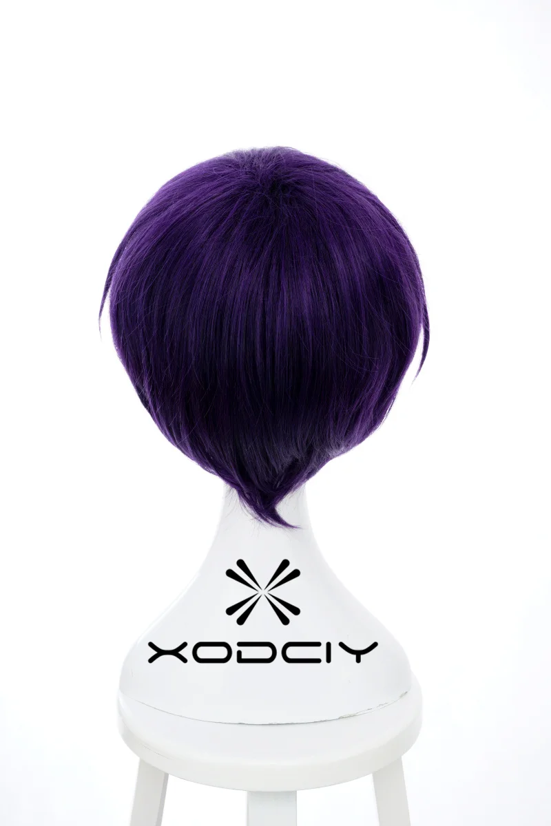 Anime Takasugi Shinsuke Cosplay perruque violet foncé perruques courtes YATO Cosplay Anime Cosplay Costumes perruque résistant à la chaleur cheveux synthétiques