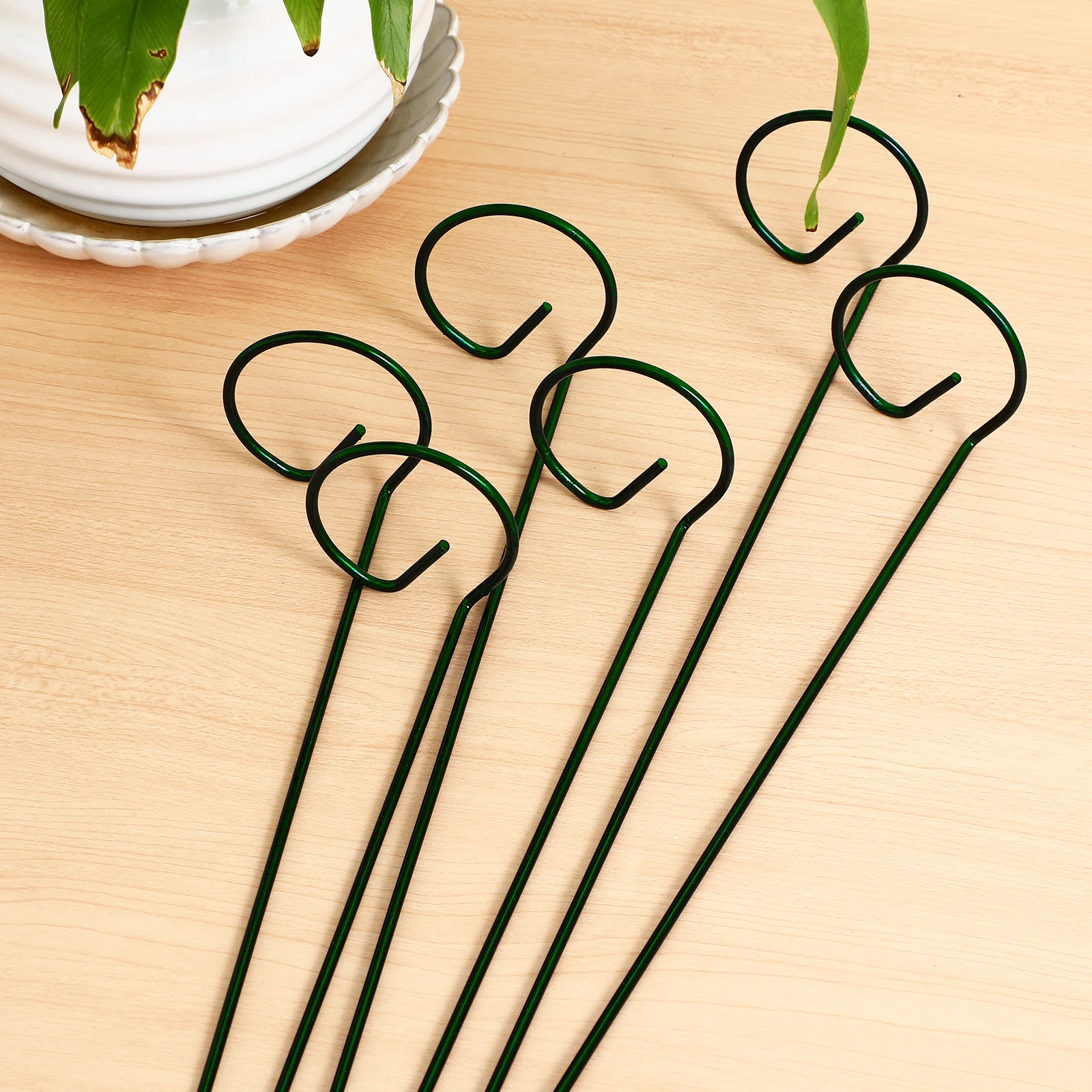 

6 Pcs Orchid Support Pile Plants Trellis Potted Planting Metal Flower Garden Stake Climb Poles Single Stem
