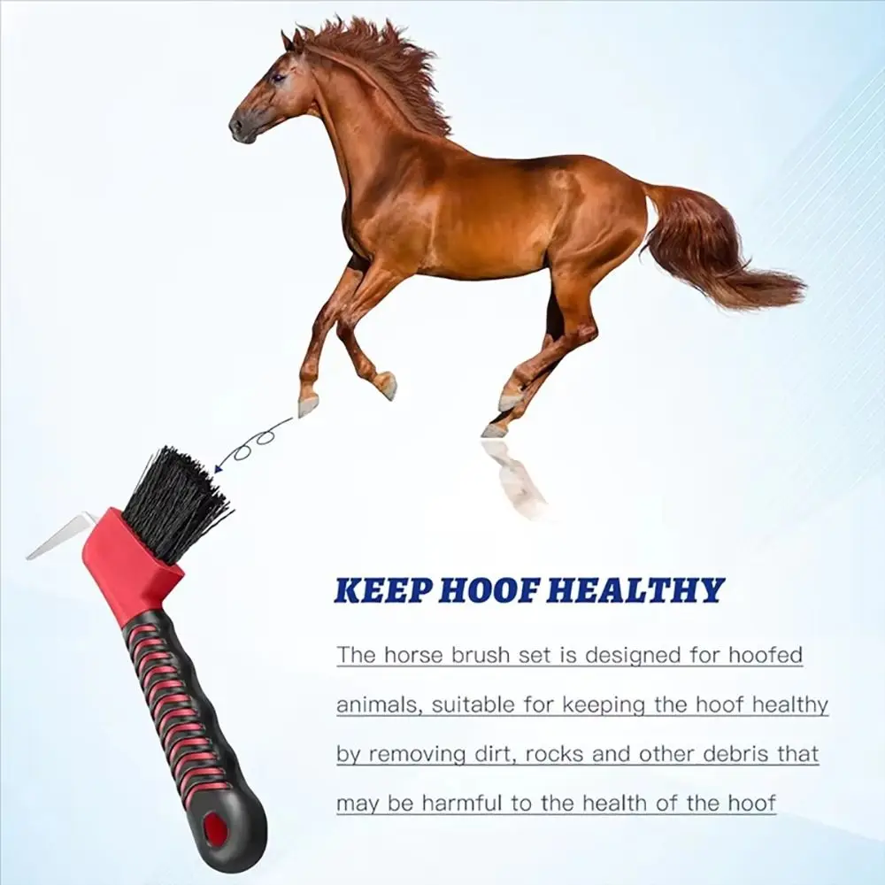 Рисунок 5 - щетка для копит лошади с нейлоновой щетиной