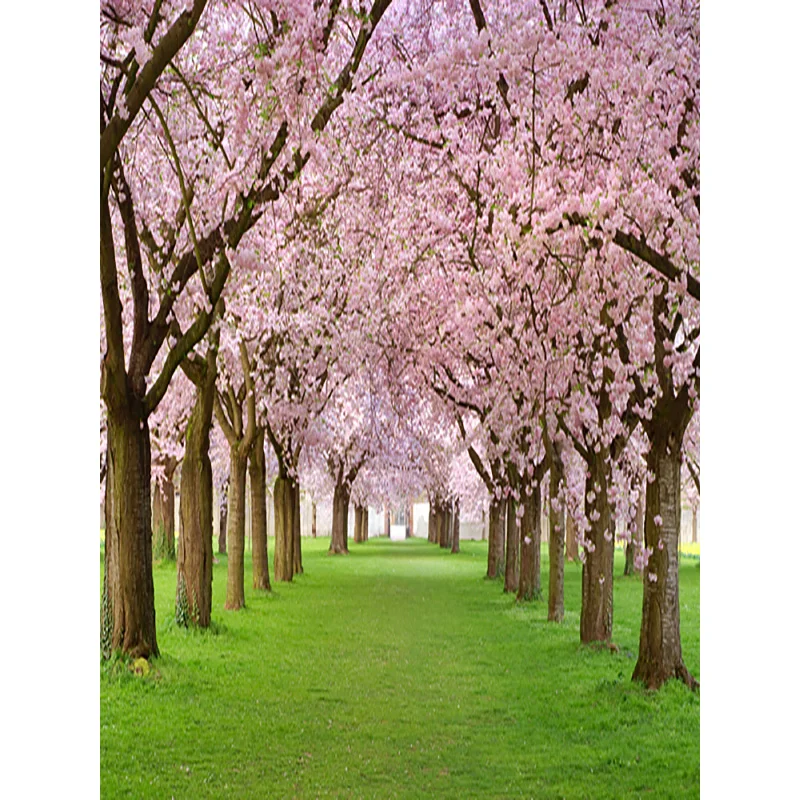 NITREE Art Fabric Valentine Day Photography Backdrops Prop Love Heart Rose Wooden Floor Photo Studio Background  211215-03