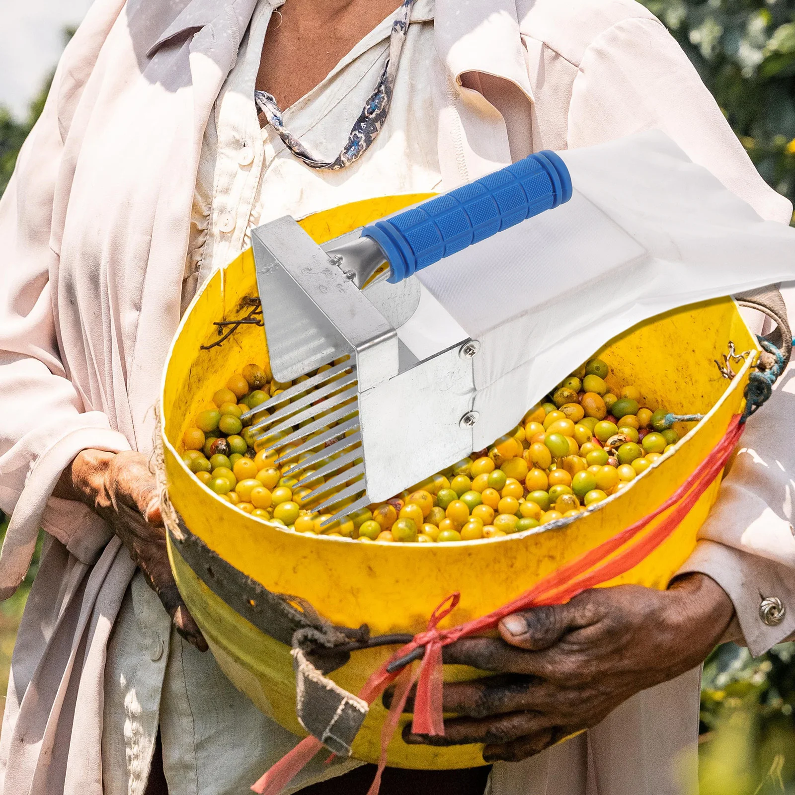 ベリーピッカー デイジーフラワーハンドル ポータブル 簡単洗浄 ブルーベリーかき集め器 ベリー収穫ツール 果樹園用品 ブルーベリーピッカー