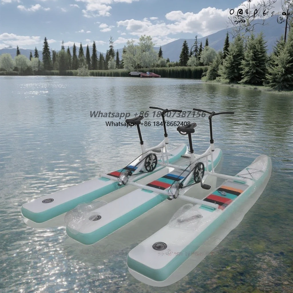 Customizable double double water bike coastal bike equipment marine bike